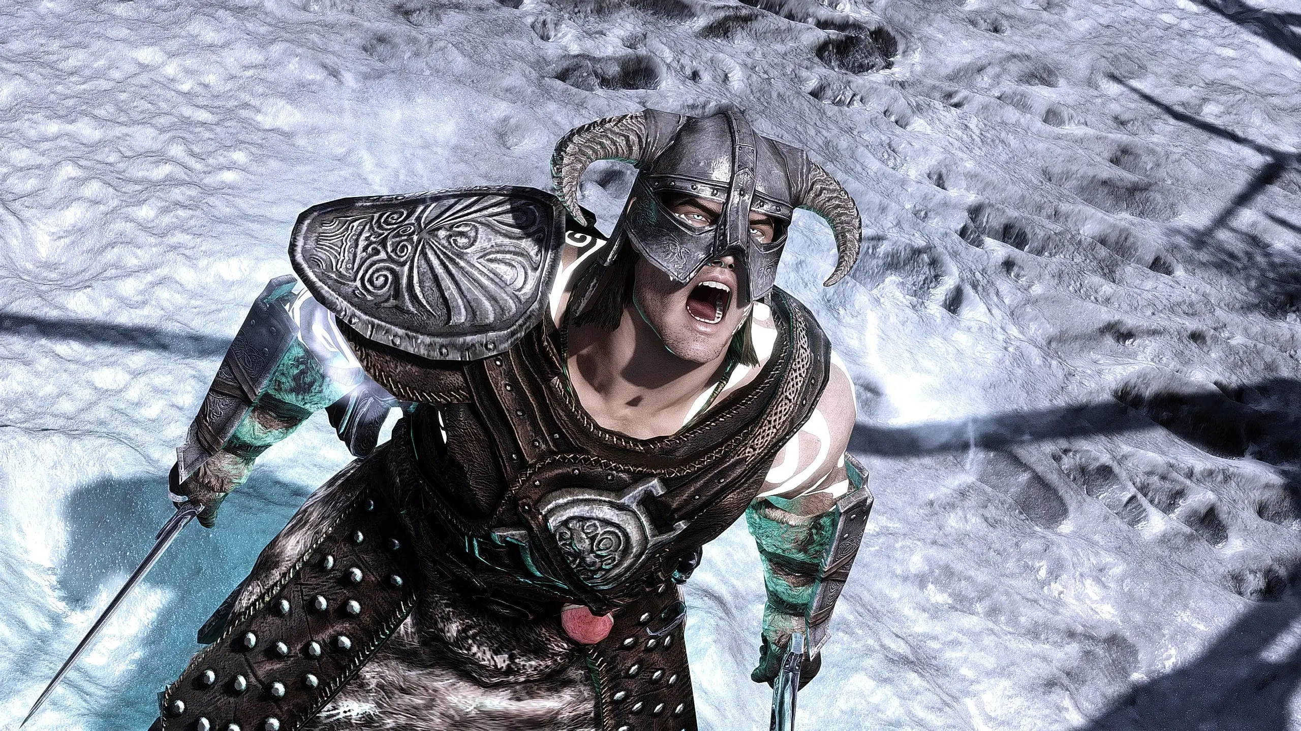 The Elder Scrolls V: Skyrim